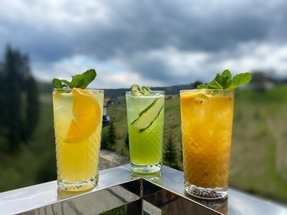 Spa Hotel Gora バコヴェル エクステリア 写真